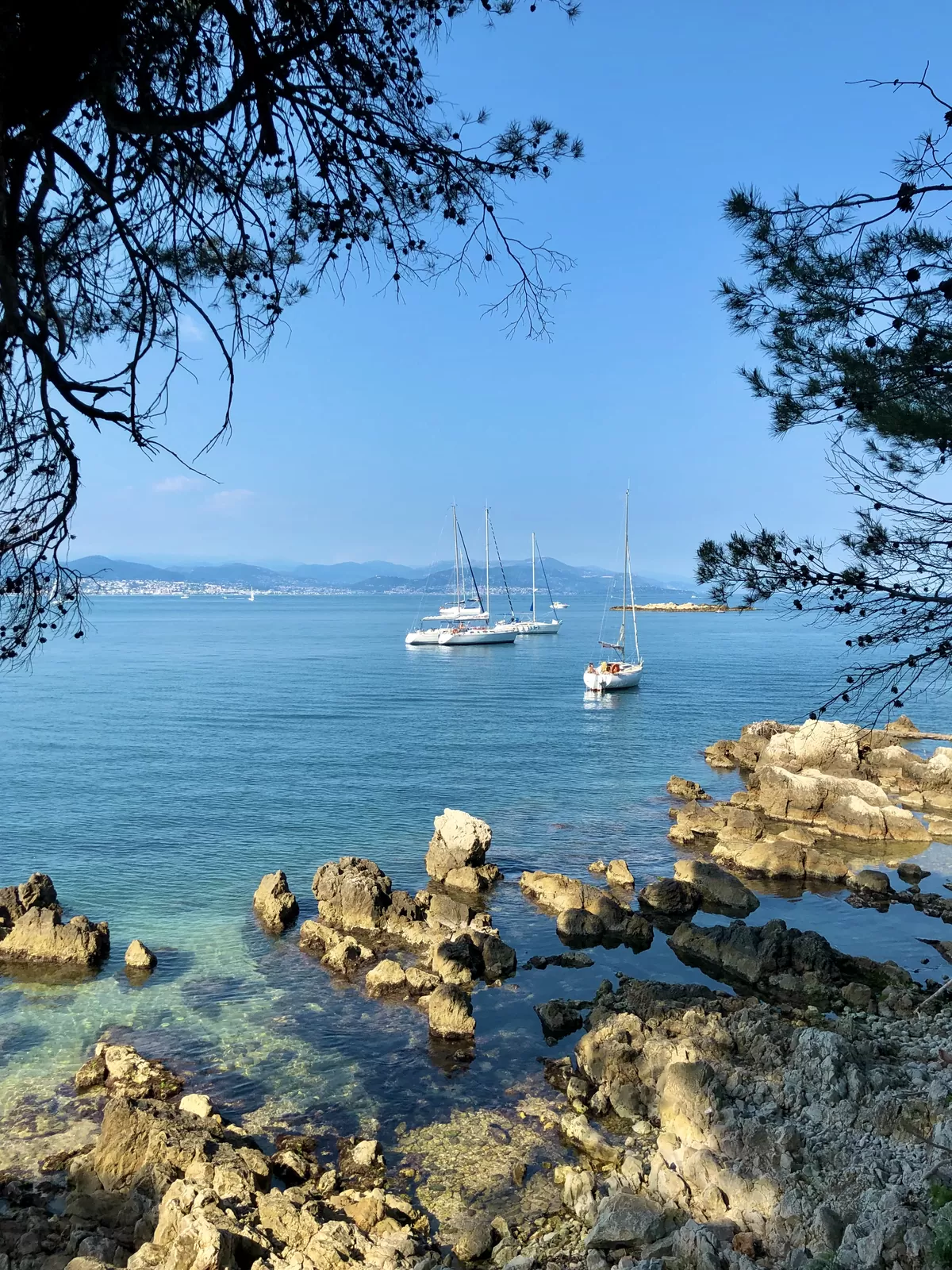 Blick auf Antibes mit Altstadt und Küste an der Côte d’Azur